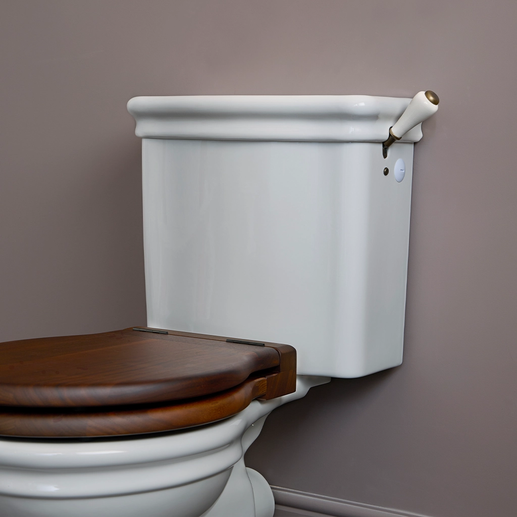 Explore our stunning range of lavatories & bidets at Catchpole & Rye. From elegant styles to luxurious finishes, our lavatories & bidets enhance any bathroom.